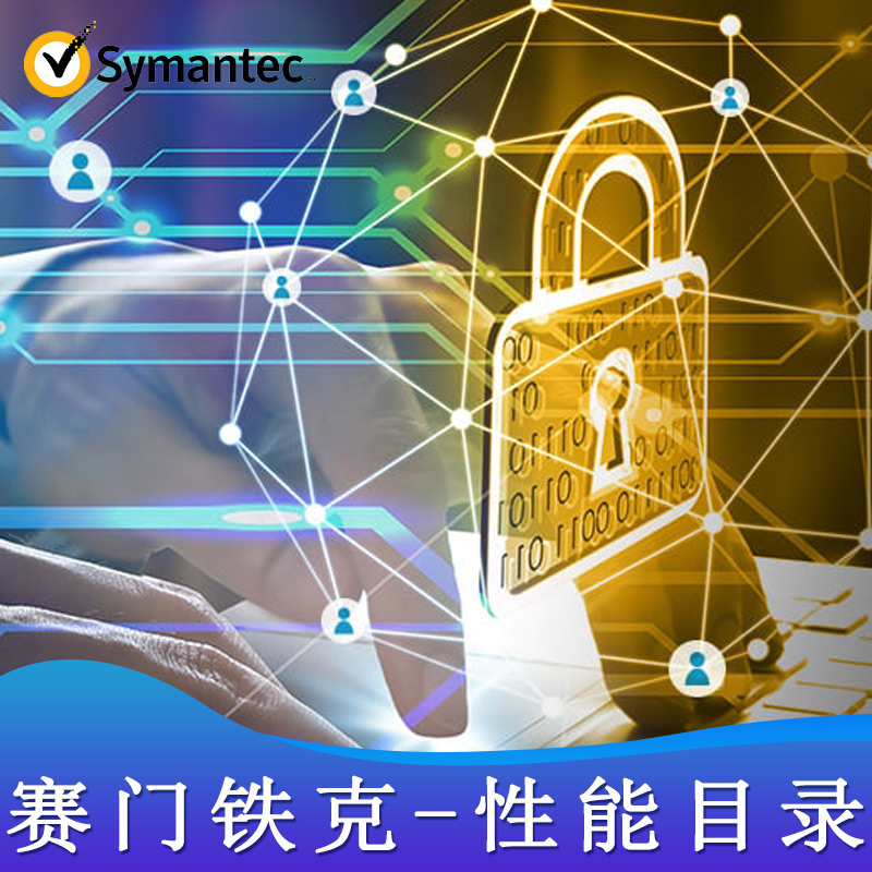 赛门铁克-性能目录管理