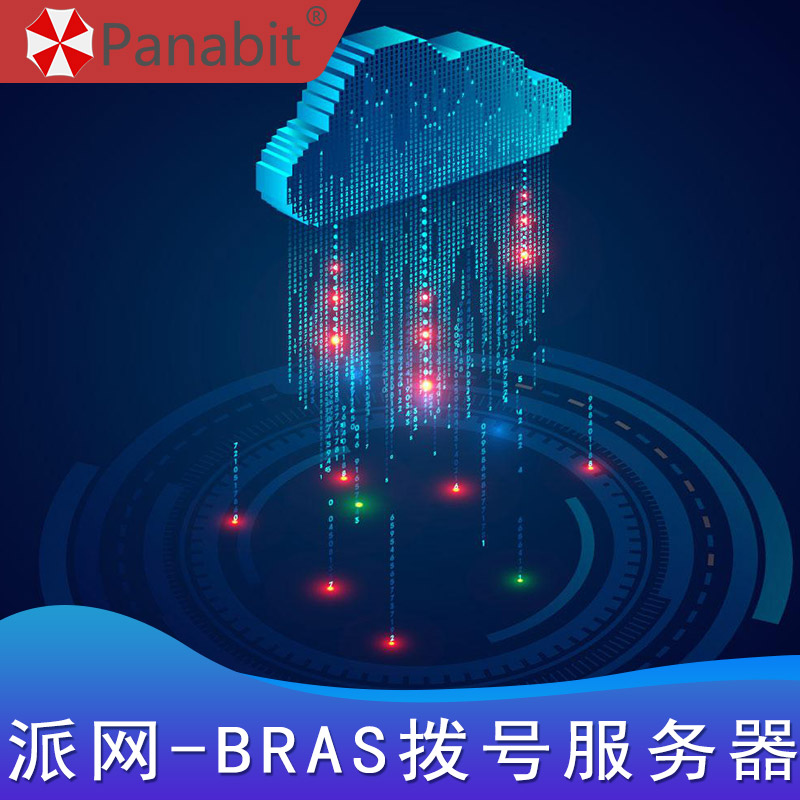 派网-BRAS拨号服务器