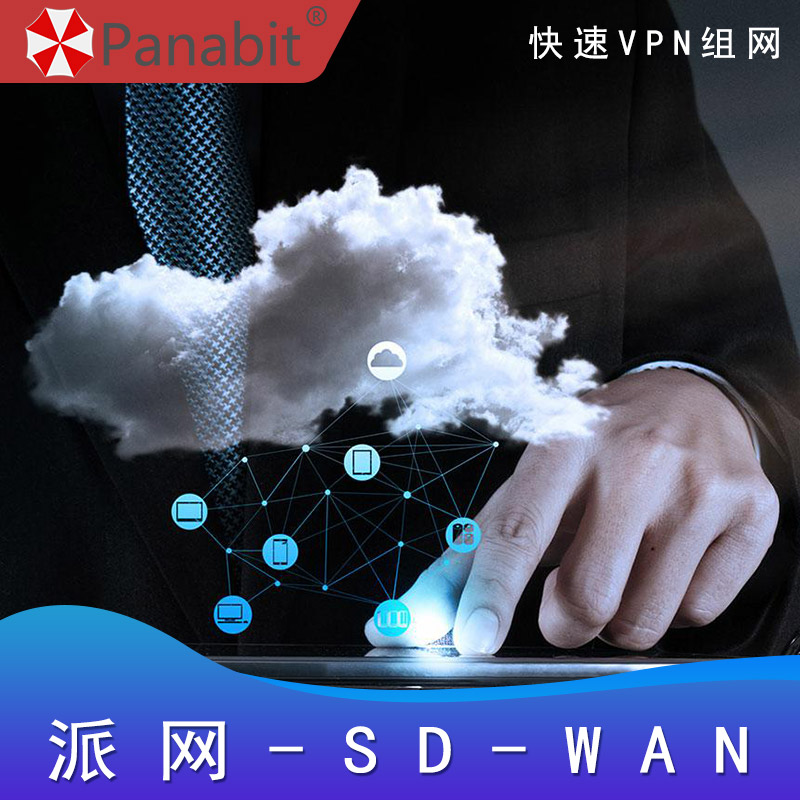 派网_SD-WAM